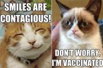 cats.jpg