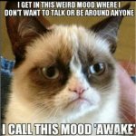 ba70a860a3f3415fbc0d468445cc41dc--grumpy-cat-meme-grumpy-kitty.jpg