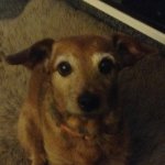 image.jpeg