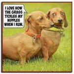 tickles.jpg