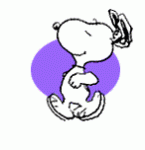 image.gif