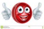 cricket 1.jpg