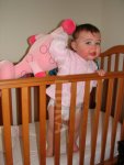 517314-throwing-teddy-out-of-cot.jpg