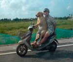 Dog-_Driving-_Scooter.jpg