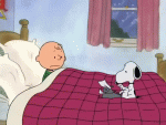 image.gif