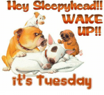 hey-wake-upi-its-tuesday-5882719.png