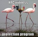 chicken_wit_protect.jpg