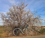 WP_20180123_11_31_52_Pro (2).jpg