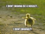 chicken_nugget.jpg