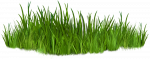 clip-art-images-of-grasses-7-png.png