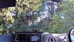 Screenshot_20190317-071508_Wansview.jpg
