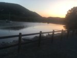 AA60452C-5DBE-4D9C-9E7E-154DE3155883.jpeg