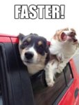 faster.jpg