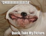 say cheese.jpg