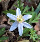 WP_20190324_15_04_25_Rich (2).jpg WP_20190324_15_04_25_Rich (2).jpg