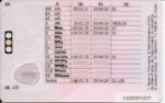 Licence rear.jpg