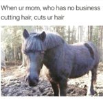 haircut.jpg