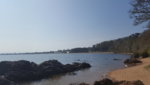 20190419_121634.jpg