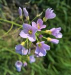 WP_20190419_17_22_34_Pro (2).jpg