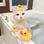 bath time.jpg