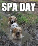 spa day.jpg