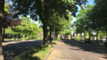 C0BB2F95-164D-4382-9F89-E24844B6E74B.png C0BB2F95-164D-4382-9F89-E24844B6E74B.png