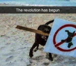 revolution.jpg