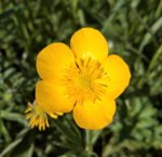 WP_20190511_16_12_17_Pro (2).jpg WP_20190511_16_12_17_Pro (2).jpg