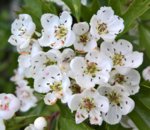 WP_20190511_13_03_54_Pro (3).jpg