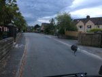904C7483-8092-4800-BD58-3C3F91B753B0.jpeg