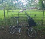 WP_20190520_12_13_35_Pro (2).jpg