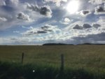 6F64200F-E242-47AD-A0AA-1737C2C5FAC4.jpeg