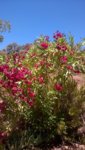 WP_20190617_13_49_59_Pro.jpg