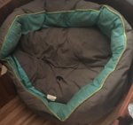 E3BABAB4-38C6-4030-BB4B-EFA04206D4F4.jpeg E3BABAB4-38C6-4030-BB4B-EFA04206D4F4.jpeg