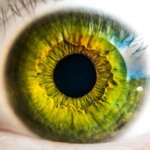 eyes.jpg