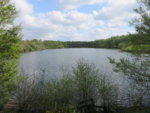 035_Cheshire_Brereton Heath_Nature Reserve_29th April 2019.JPG
