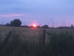B2AC538E-BD3E-4439-8E23-D3FEBEBBE6C3.jpeg