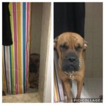 bathroom garbage.jpg