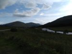 IMG_20190810_171645116.jpg