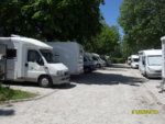 SDC10181.JPG