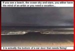 575C9E13-89BC-493C-8D9B-53F09E0A768F.jpeg