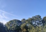 IMG_20190829_080155.jpg