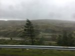A78CEA32-1A07-4361-AE47-AF6BE12A9149.jpeg