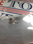 20190321_065133.jpg 20190321_065133.jpg