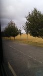 20190915_082829.jpg