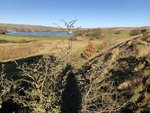 IMG_5051.JPEG