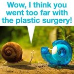 Snail joke.jpg