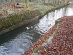 PC060143.JPG