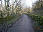 PC070145.JPG