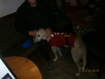 PC070200.JPG
